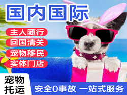 张家界空运地址国际宠物托运 【国